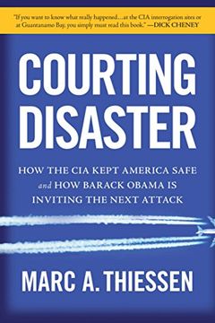 Courting Disaster book cover