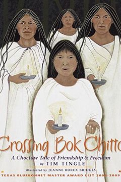 Crossing Bok Chitto book cover