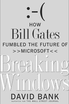 Breaking Windows book cover