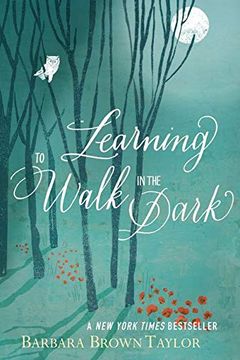 Learning to Walk in the Dark book cover