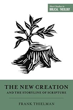 The New Creation and the Storyline of Scripture book cover