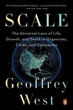 Scale book cover