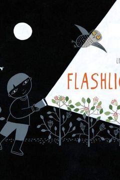 Flashlight book cover