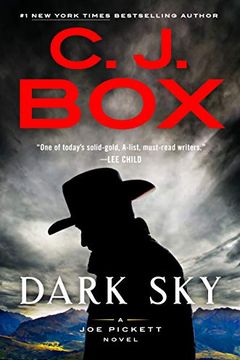 Dark Sky book cover