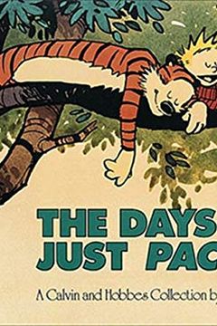 The Days Are Just Packed book cover
