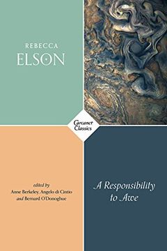 A Responsibility to Awe book cover