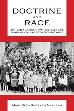 Doctrine and Race book cover