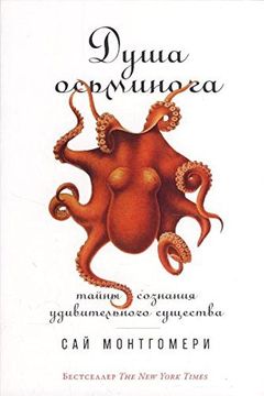 Душа осьминога book cover
