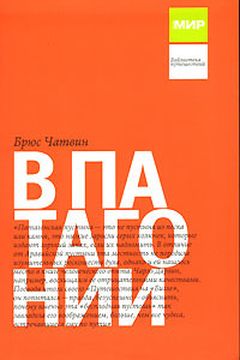 В Патагонии book cover