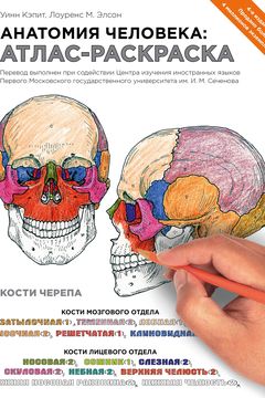 Анатомия человека book cover