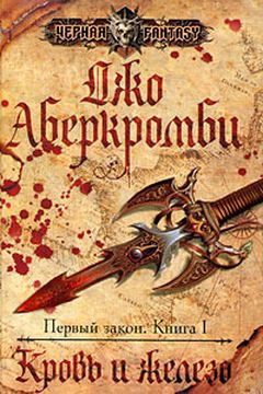 Кровь и железо book cover