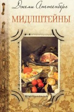 Мидлштейны book cover