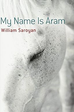 My Name Is Aram book cover