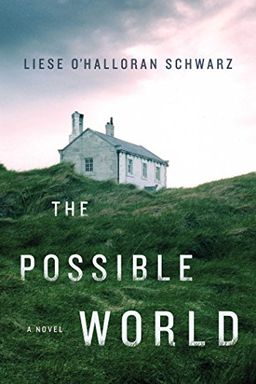 The Possible World book cover