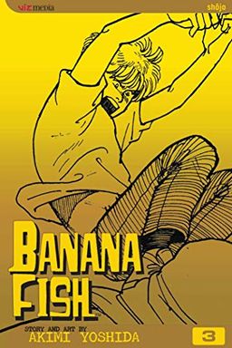 Banana Fish Manga Volume 10