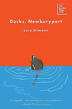 Ducks, Newburyport book cover