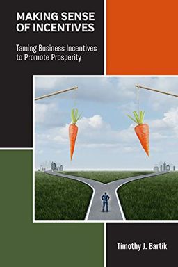 Making Sense of Incentives book cover