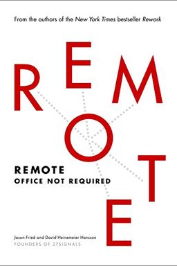 Remote book cover