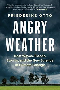 Angry Weather book cover