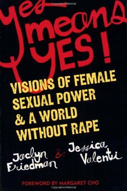 Yes Means Yes! book cover