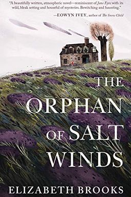 The Orphan of Salt Winds book cover