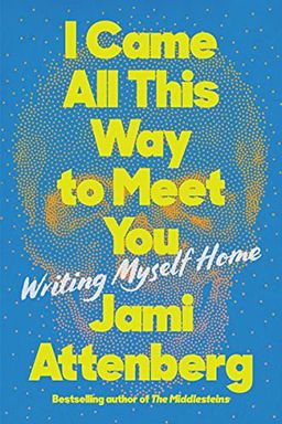 I Came All This Way to Meet You book cover