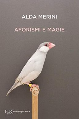 Aforismi e magie book cover