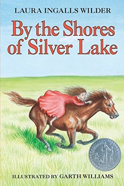 By the Shores of Silver Lake book cover