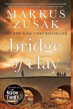Bridge of Clay book cover