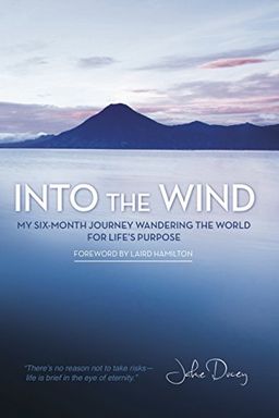 Into the Wind book cover