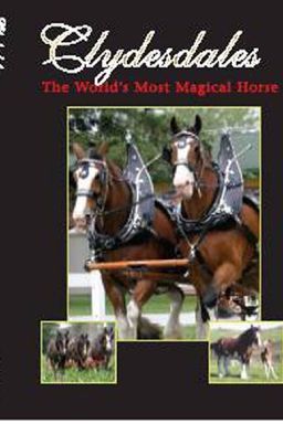 Clydesdales book cover