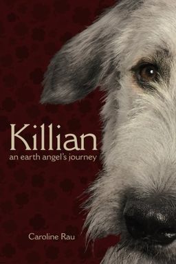 Killian book cover