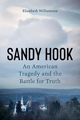 Sandy Hook book cover