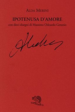 Ipotenusa d'amore book cover