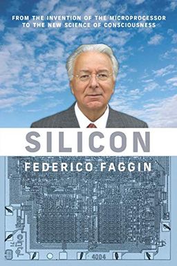 Silicon book cover