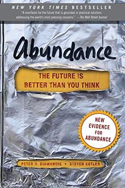 Abundance book cover