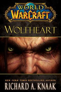 World of Warcraft book cover