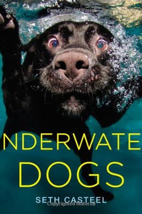 Underwater Dogs book cover