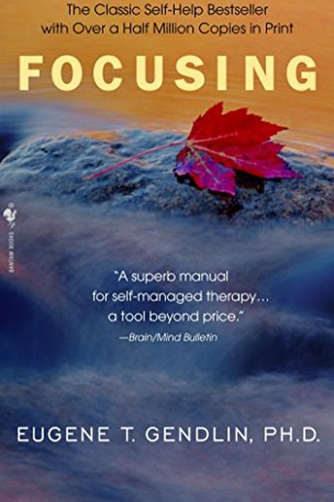 Focusing book cover