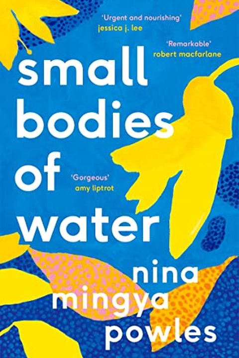 Small Bodies of Water book cover