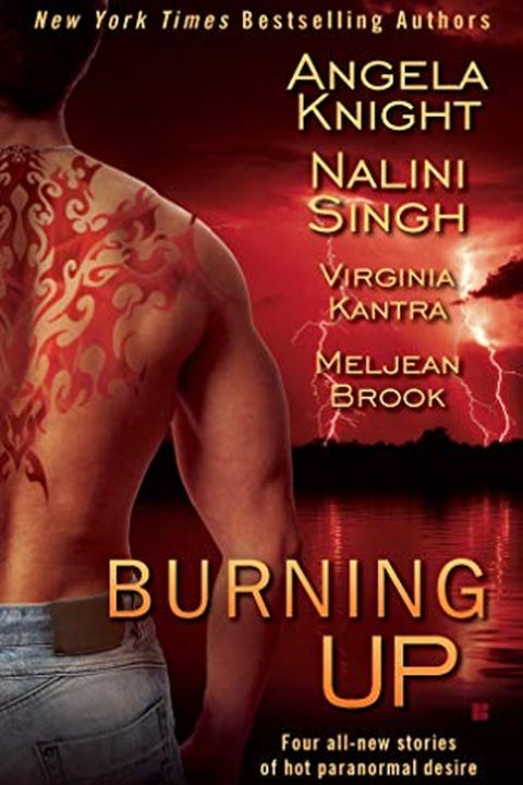 Burning Up book cover