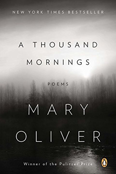 A Thousand Mornings book cover