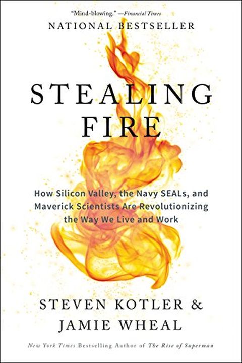 Stealing Fire book cover