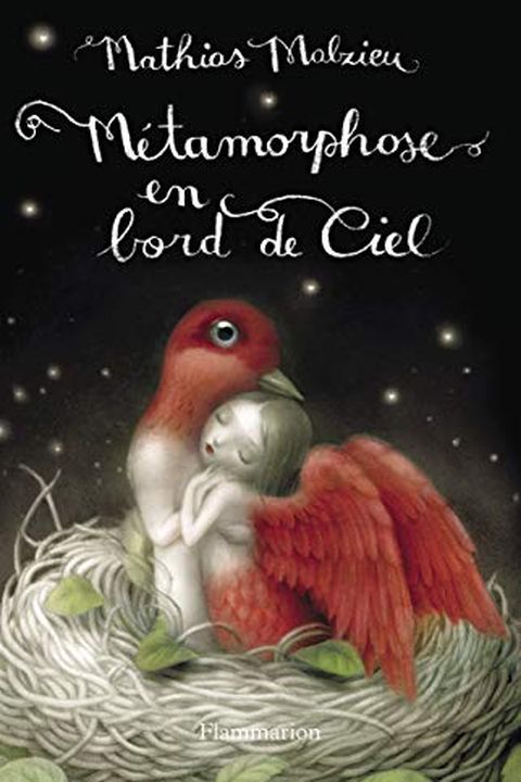 Métamorphose en bord de ciel book cover
