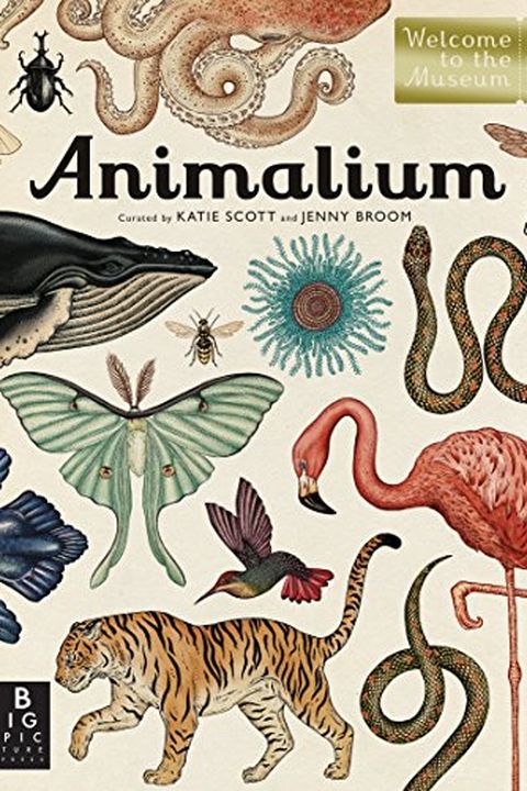 Animalium book cover