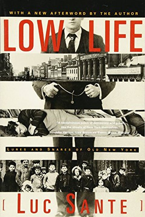 Low Life book cover