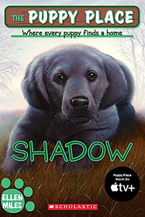 Shadow book cover