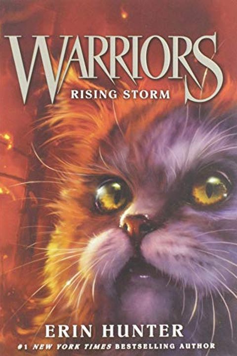 Rising Storm book cover