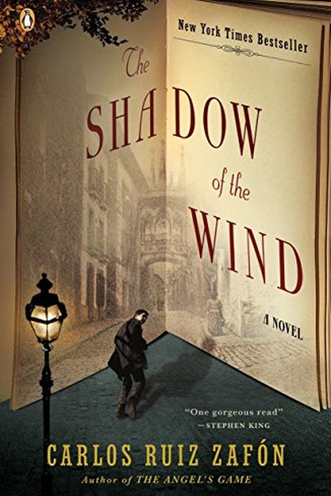 The Shadow of the Wind book cover