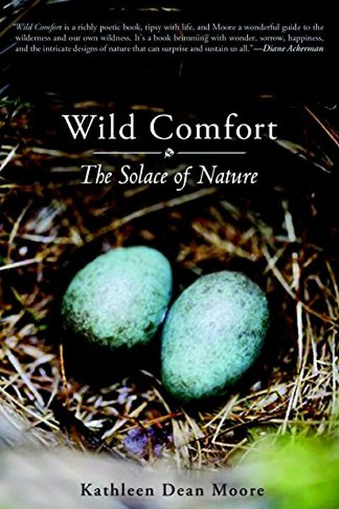 Wild Comfort book cover